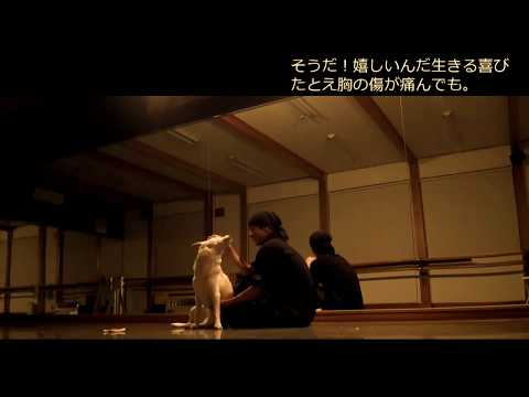～アンパンマンのマーチ／黒木祐樹～【歌詞とワンコとダンス付き】《TANZ苫小牧ダンス教室 》cooljapan