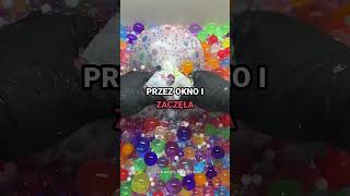 Problem Nie Był U Sąsiadki