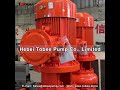 Sandman TSBV Vertical Magnum Sand Pumps