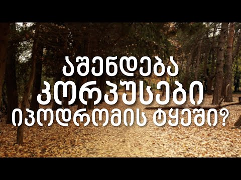 მინდორი გააჩუქეს, ტყე გაყიდეს - აშენდება კორპუსები იპოდრომზეც?