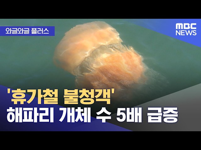 Waggle Waggle Plus] 'Vacation Season Unwelcome Guest' Jellyfish