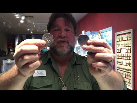 What Is A Spanish Piece Of 8 Recovered From The 1715 Treasure Fleet PART 1