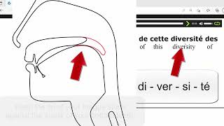 "Find-the-right-word" exercise: di - ver - si - té. The French R without the hissing sound. screenshot 1