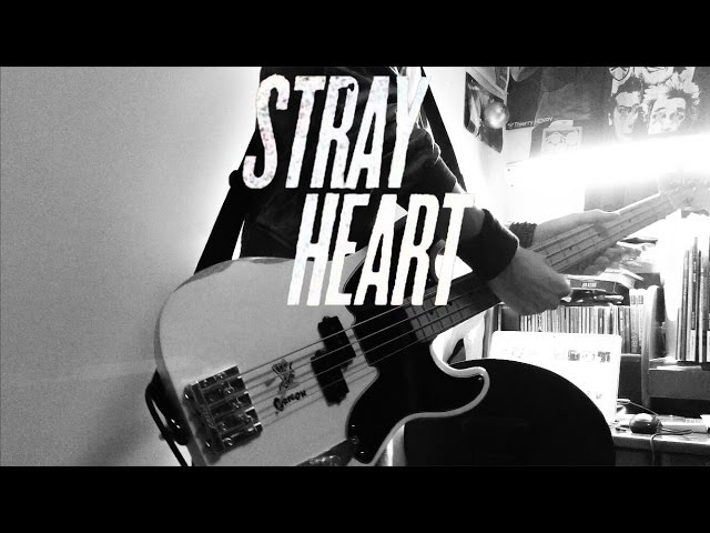 [BASS COVER] Stray Heart - Green Day [FENDER P-BASS] class=