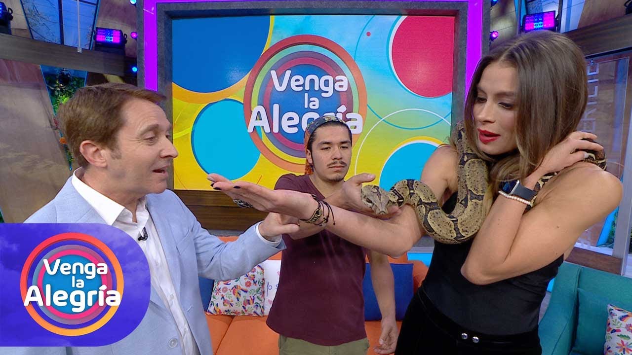 Natalia Valenzuela superó su fobia a las serpientes gracias a Tony Kamo. | Venga La Alegría