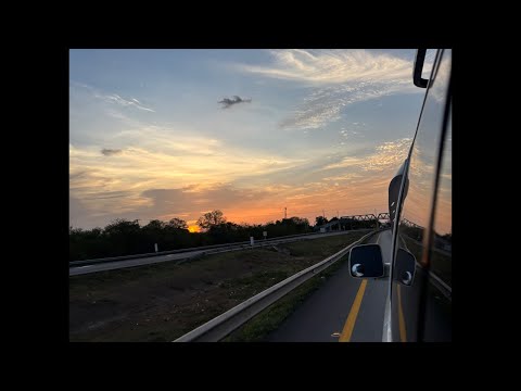 El Mono está en vivo
