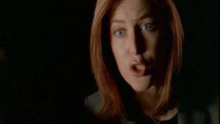 XF3 ARMY - Two worlds (english)