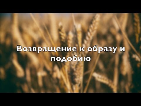 Возвращение к образу и подобию Маринин Роман