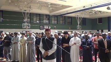 سورة الملك من صلاة التراويح رمضان الصباغ 2024
