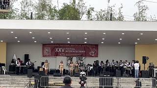 Cofsaf Música - V Festival De Folklore Interfacultades