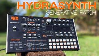 Celebrity MEANDERING: Generative patch on the Hydrasynth [no overdubs] Profile