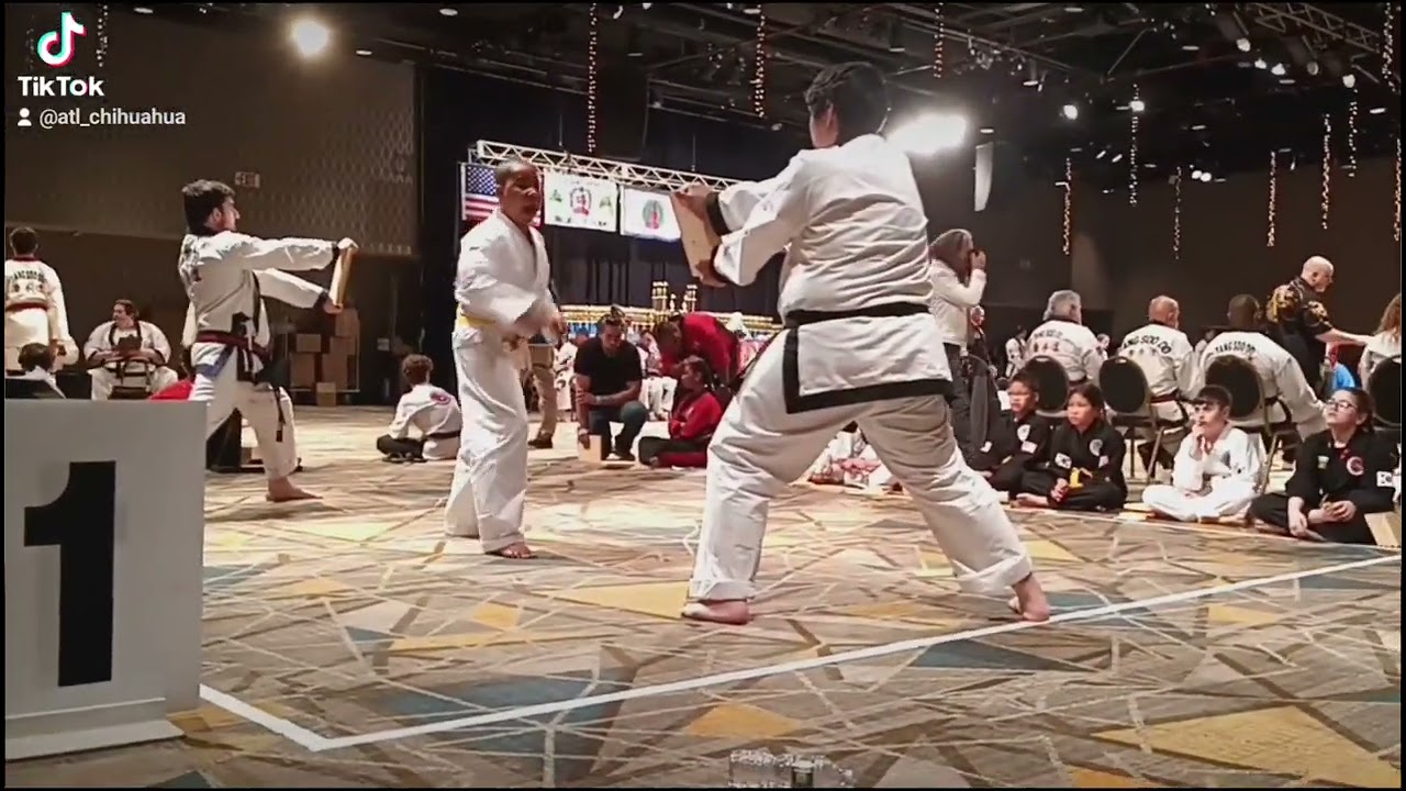 Front snap kick, Round house kick, Spin jump round house kick. 