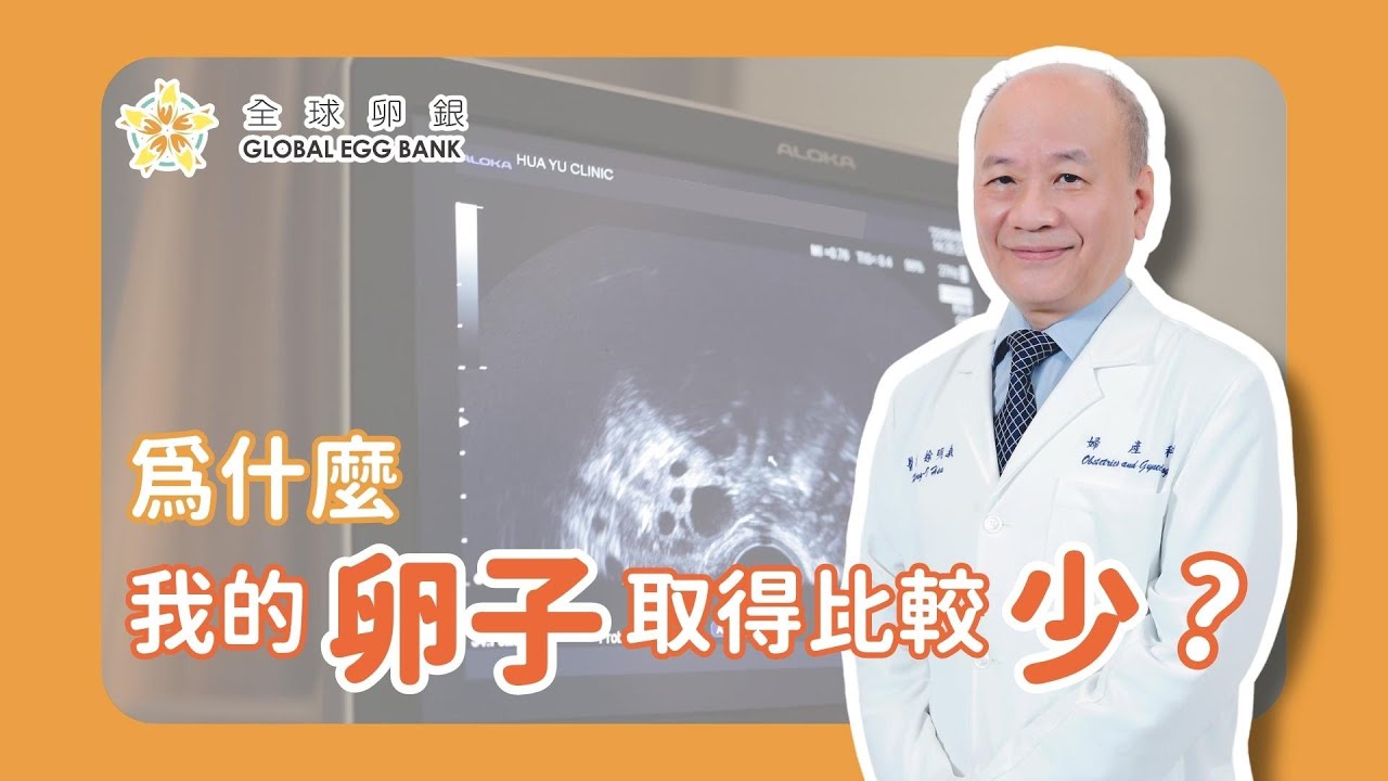 【好孕智多星Dr.IVF】取卵數影響試管嬰兒成功率！