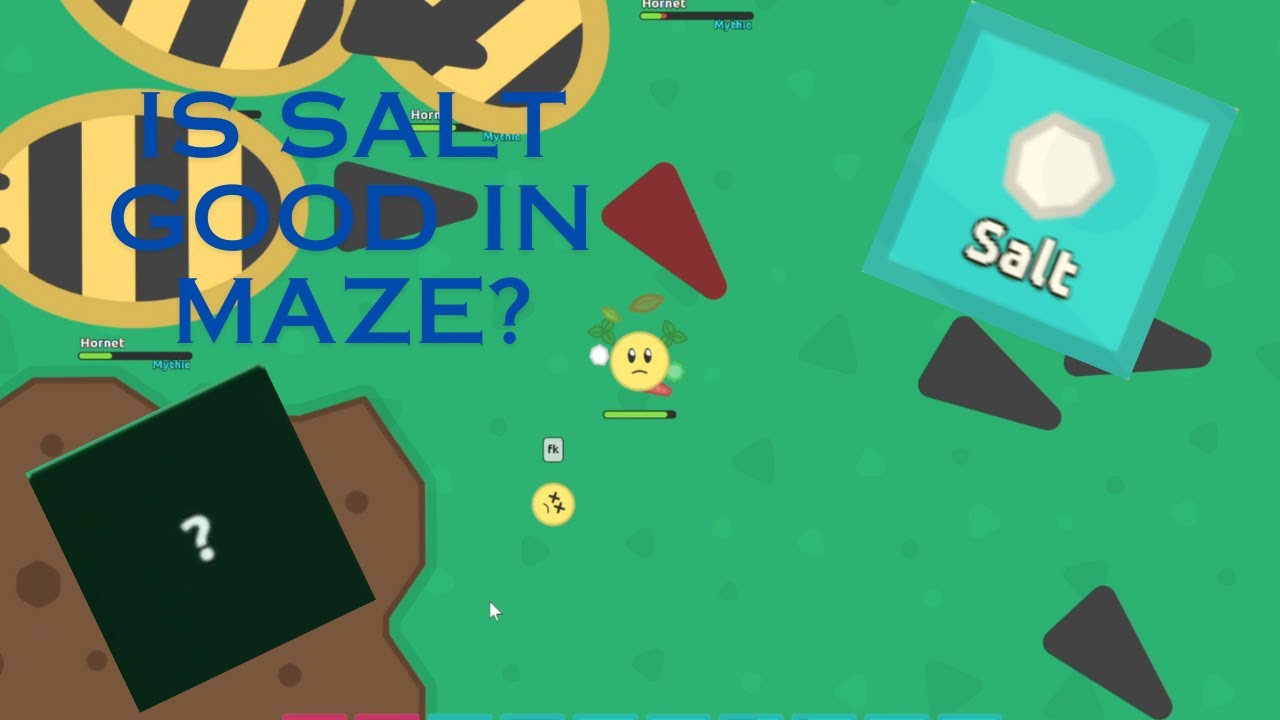 Is Salt Ram Good In Maze Florr io YouTube is-salt-ram-good-in-maze-florr-io-youtube