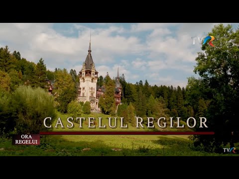 Video: Castle: dispozitiv, tipuri, caracteristici și recenzii