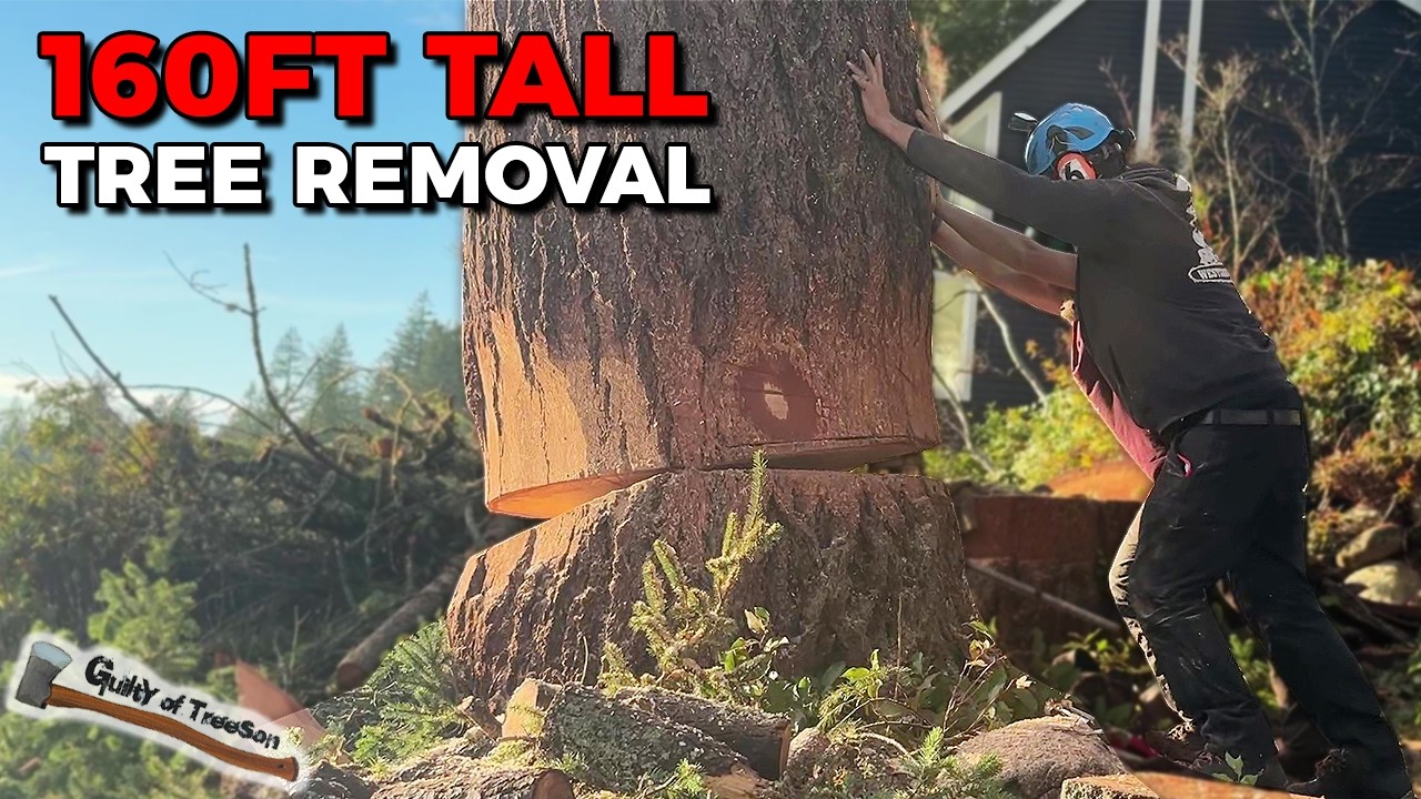 3 other climbers COULDN’T finish this tree!