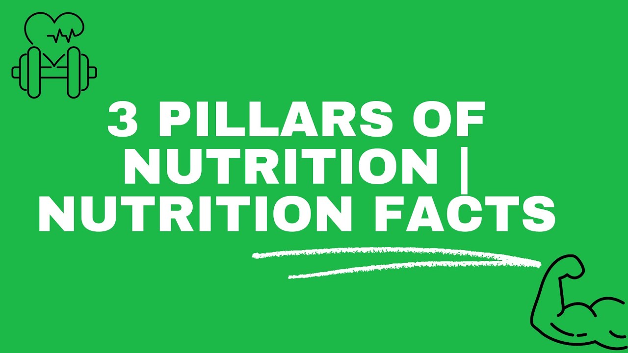 Gym Grow - Video Sample - 3 Pillars of Nutrition | Nutrition facts