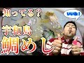 宇和島名物・鯛めしを作って食ってみたら旨すぎた
