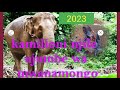 Kamilioni Njile Ujumbe Wa Mwanamongo By Mbasha Stdiuo 2023 0755254515 