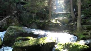 Mvi0281-Lohnfall-Waldviertel.mov