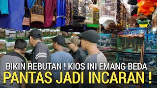 KETEMU LAGI ! KIOS PASAR BURUNG TERBESAR LENGKAP DAN MURAH PASAR BURUNG PRAMUKA HARI INI 