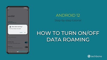 How to Turn On/Off Data roaming [Android 12]