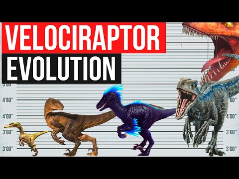 Video: Is velociraptors regte dinosourusse?