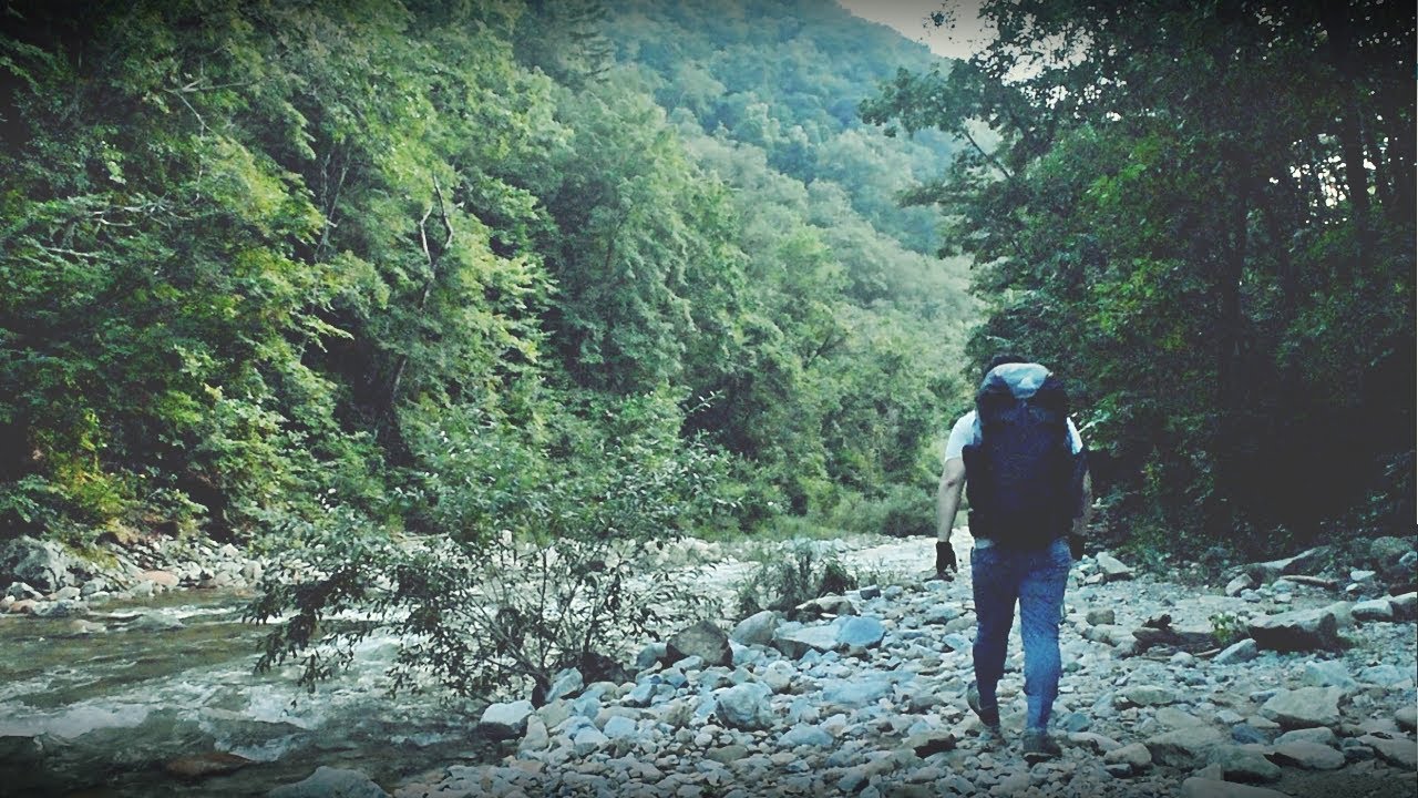 одиночный кемпинг в лесу рядом с долиной (в Южной Корее)