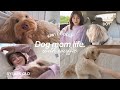 愛犬ワッフルとの小さな遠足🏞️🚙のんびり休日Vlog