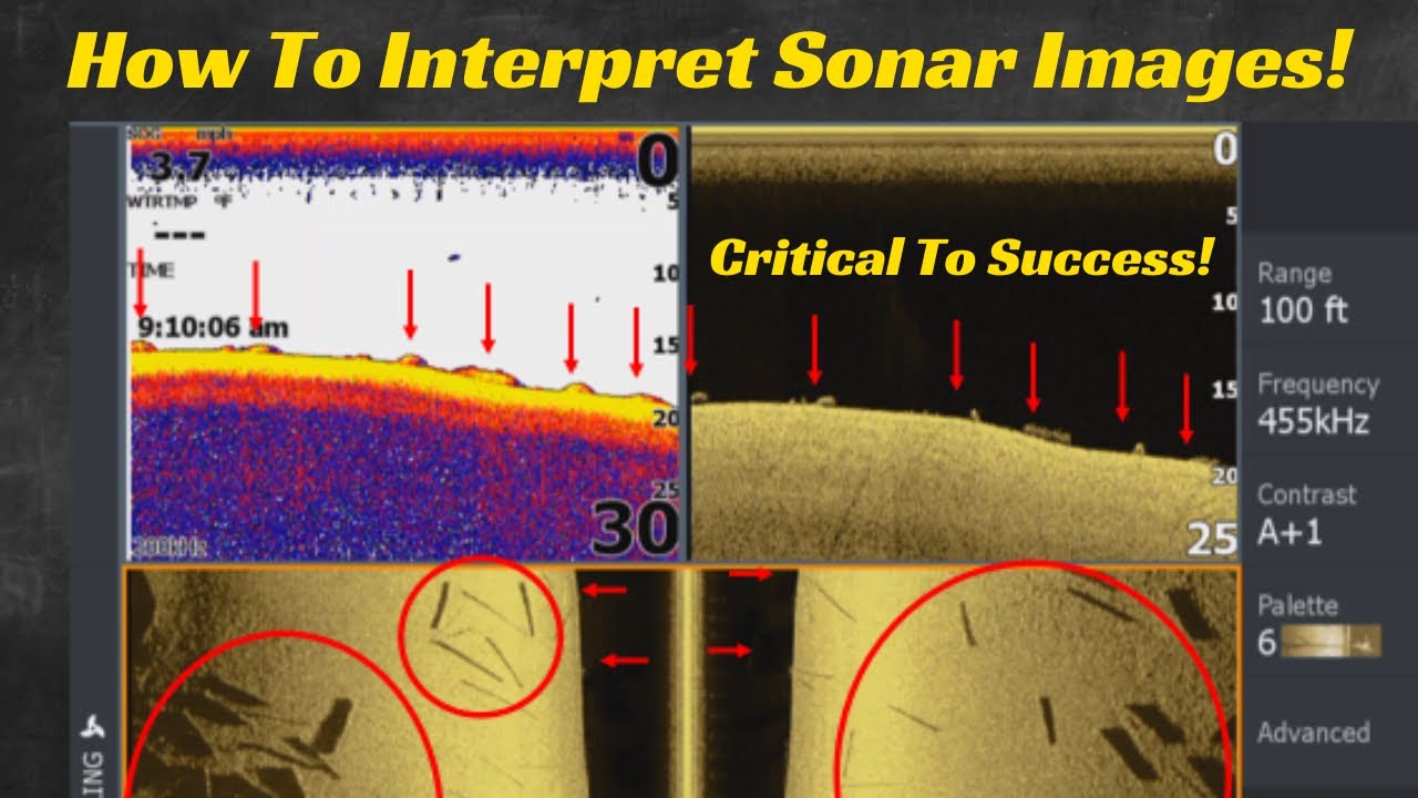 What Do I See? Your Guide to Interpreting Live Sonar