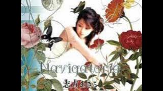 Shikata Akiko - Navigatoria