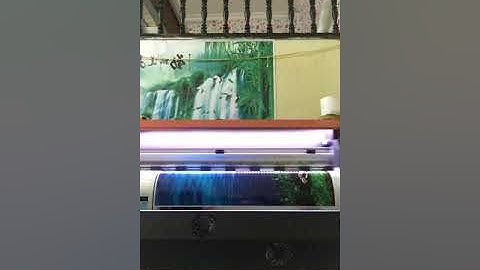 Chuyên In Tranh 3D Cho Bể Cá Cảnh - Ship Toàn Quốc