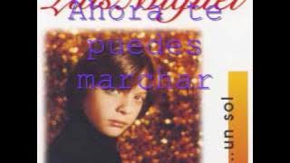 Luis miguel  los exitos de los 80's