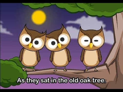 One Little Owl | Family Sing Along - Muffin Songs