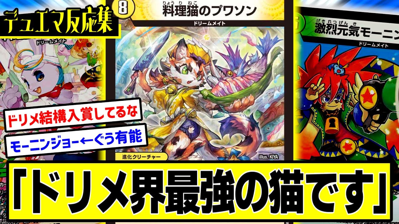 デュエマ】『料理猫のプワソンとかいう最強のドリームメイト』に対する