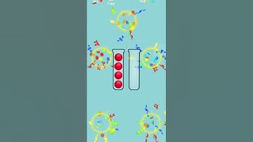 ball sort puzzle color sort challenge#shors #shors#stunt #waitforend #video #gaming #game #gameplay