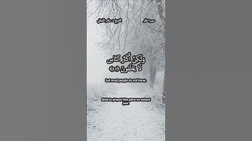 سورة غافر 56-58 الشيخ د. ماهر المعيقلي