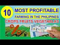 Top 10 Most Profitable Farming Business in the Philippines per Return on Investments %  Hectare 2020