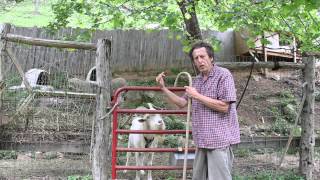 Self Hypnosis with Billy Goat