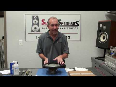 Infinity Speaker RSa 10" Woofer Refoam Repair