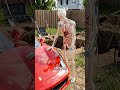 What Happens If You Dig Through the Earth