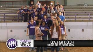 K-State Homecoming 2011: Crazy Cat Kickoff