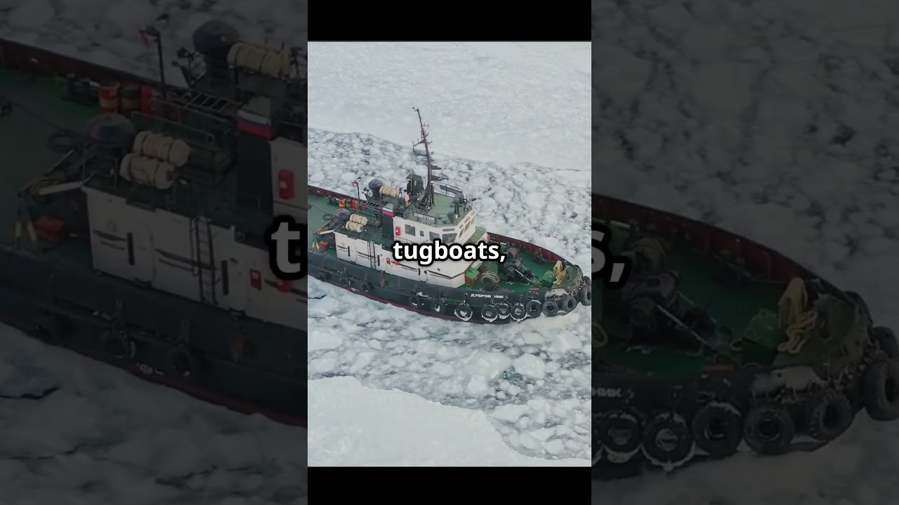 You Can Get Paid $100K to Move ICEBERGS!