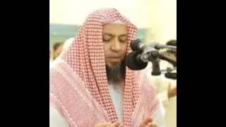 سورة الحديد | أحمد السعيد مندور