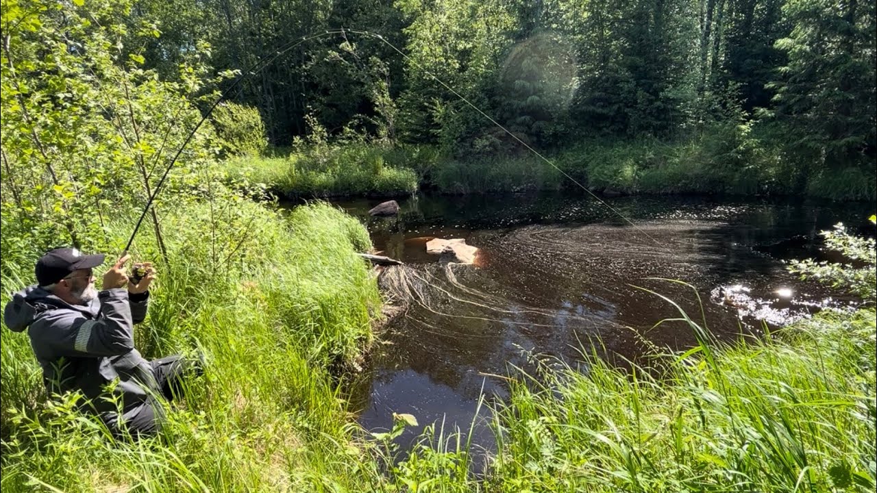 7 erilaista OTTIPAIKKAA rannalta - Mistä kalat löytyvät -  hauen kalastus - ahvenen kalastus