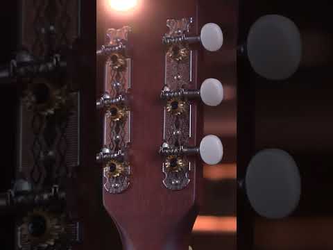 ¡La Guitarra Acústica