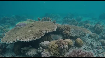 Qual è il colore dell'acqua?