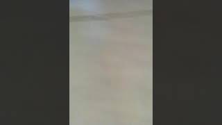 My heart will go on -cover-