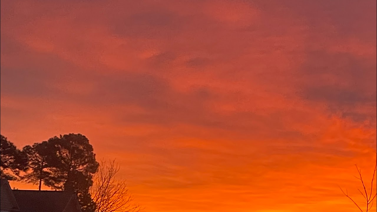 doing a bipolar and down syndrom level