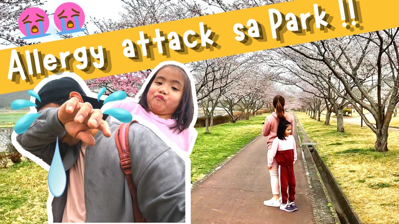 Allergy attack sa Park!! Cherry blossoms Buhay sa Japan YouTube
